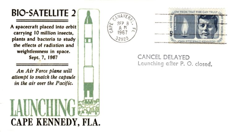 Biosatellite 2 insects plants and bacteria